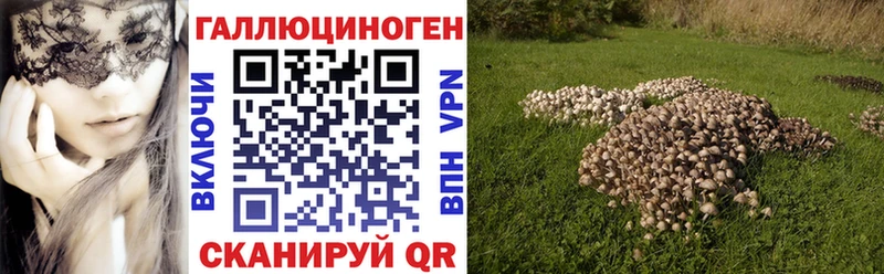 Псилоцибиновые грибы Cubensis  Белозерск 